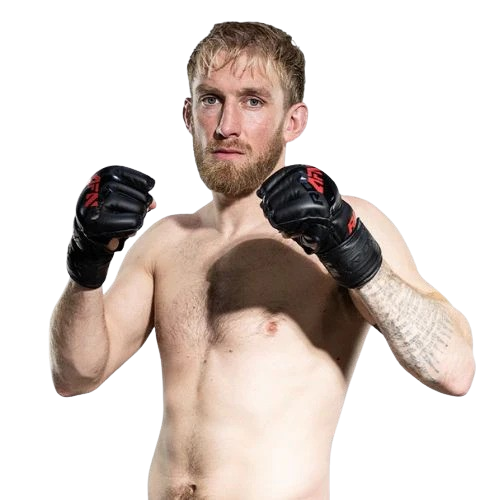 Fighter Image