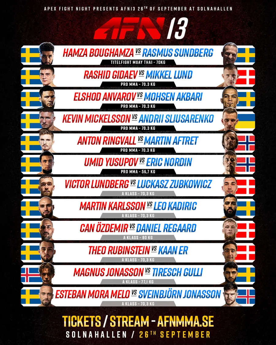 Publicerat matchkort för AFN 13